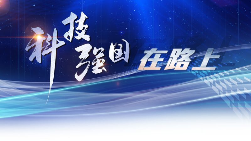研发外包与自建团队：性能与成本的权衡之道