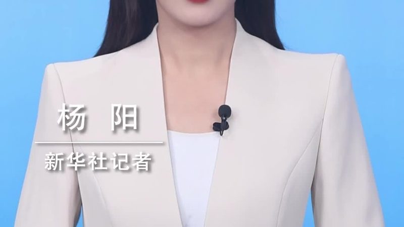 智慧解决方案实施标准：解码企业数字化转型关键